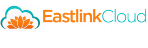 Web Hosting Provider in Nepal - Eastlinkcloud